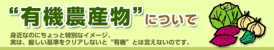 �L�@�_�Y���ɂ���